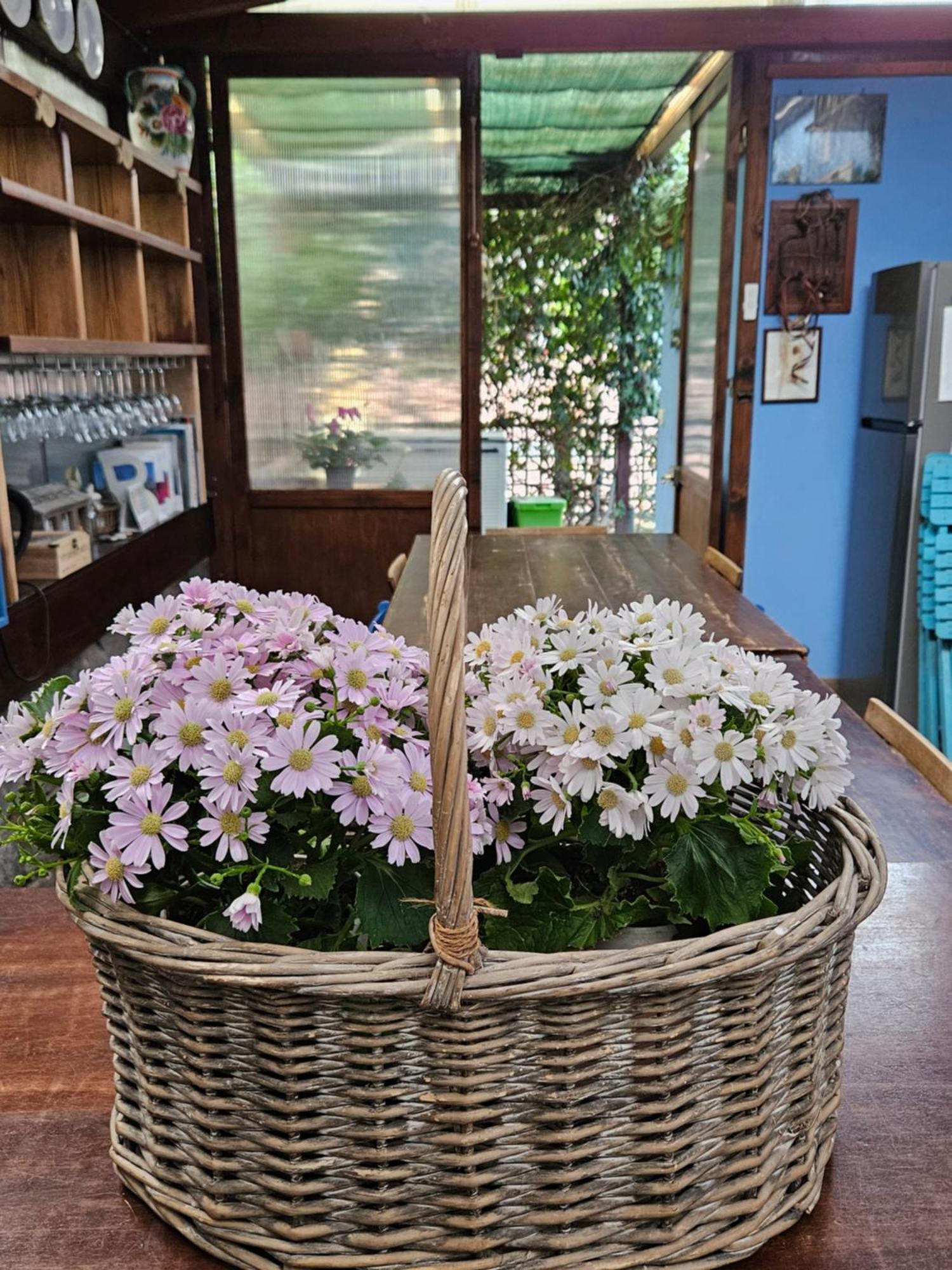 Villa Villacolle 普罗基奥 外观 照片